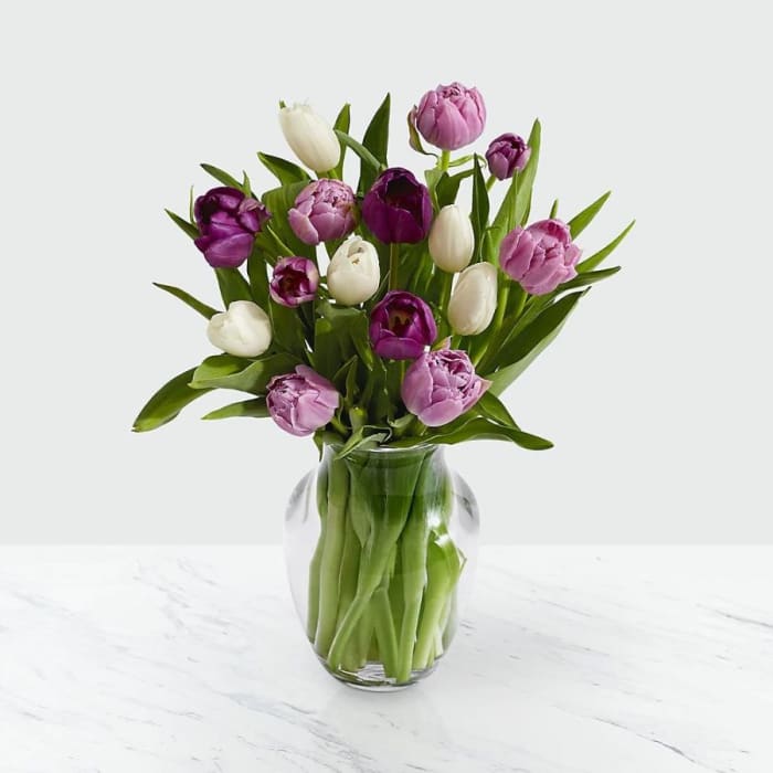 15 Darling Lavender & White Tulips with Vase