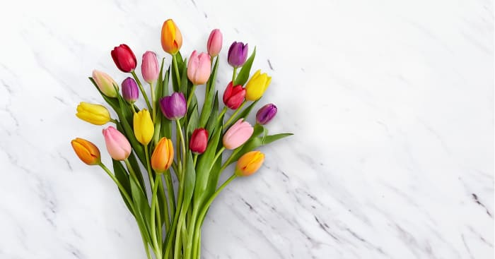 Rush of Color Assorted Tulip Bouquet - 30 Stems - VASE INCLUDED