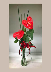 Anthurium Bud Vase