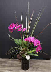 Phalaenopsis Orchid Silk