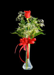 Long Stem Rose Bud Vase