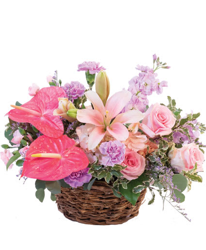 CARIBBEAN SCENTS
Floral Design
