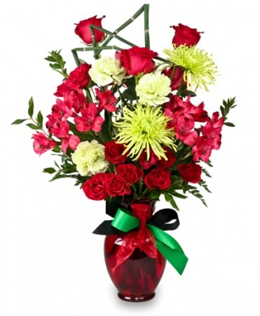 CONTEMPORARY CHEERKwanzaa Flowers