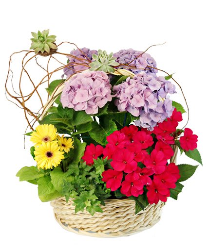 Charming Garden   Basket