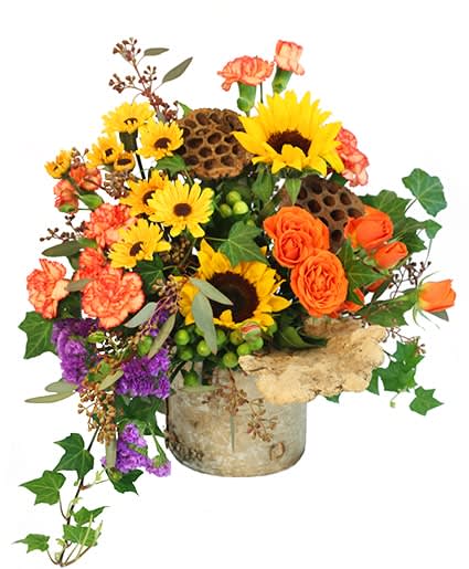 WILD IVY
  Floral  Arrangement