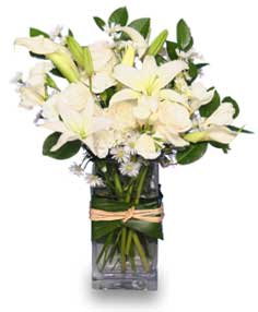 FRESH SNOWFALL Vase Of Flowers