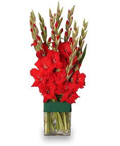 Holiday Flame