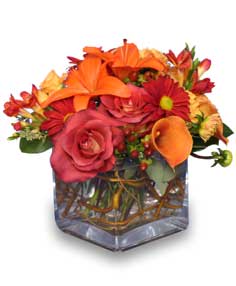 SEASONAL POTPOURRI
Fresh  Floral Design
