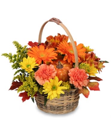 ENJOY FALL!
  Flower   Basket