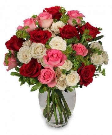 Romance of Roses
Spray Roses Bouquet