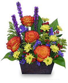 FLORAL FELICITY
 Arrangement