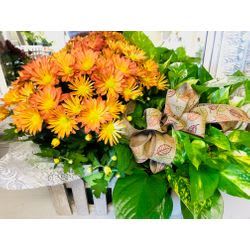 Mum Planter