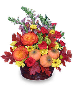 PUMPKIN PLEASURES  Basket Of Flowers