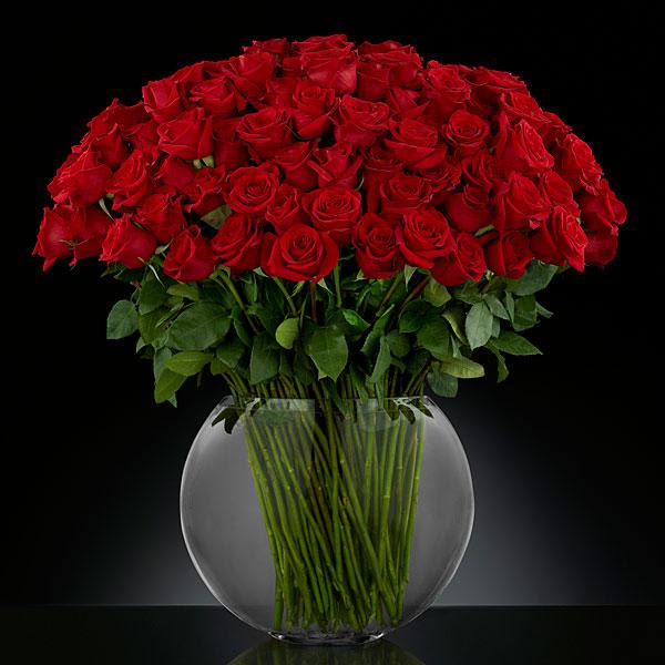 Breathless Luxury Rose Bouquet 24-inch Premium Long-Stemmed Roses - VASE INCLUDED