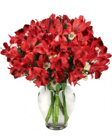 PASSIONATE PERUVIAN LILY Bouquet