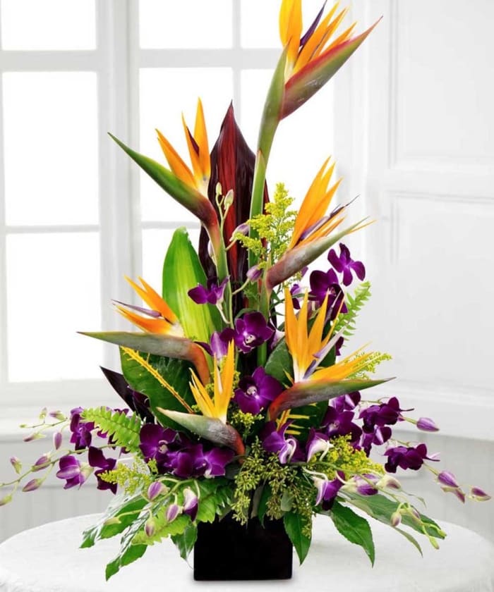 Tropical arrangement 4