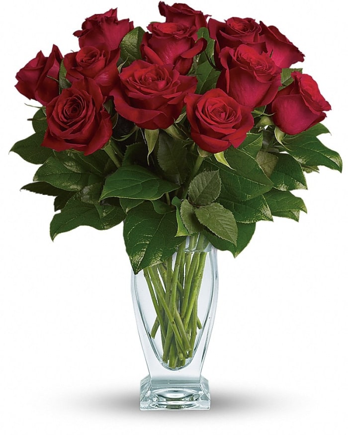 Rose Classique - Dozen Red Roses