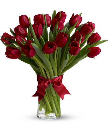 Radiantly Red Tulips