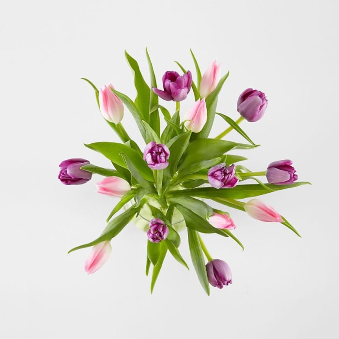 Hugs and Kisses Tulip Bouquet 20 vase