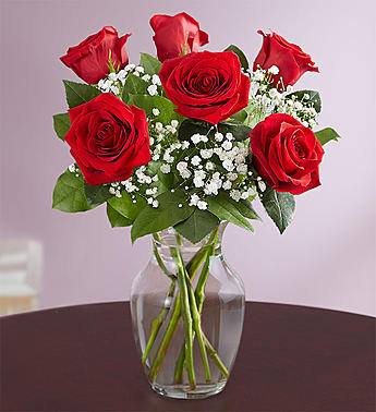 Love’s Embrace™ Red Roses