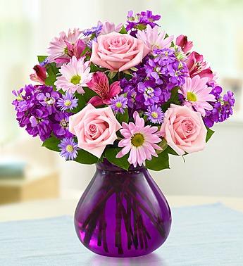 Lavender Dreams™