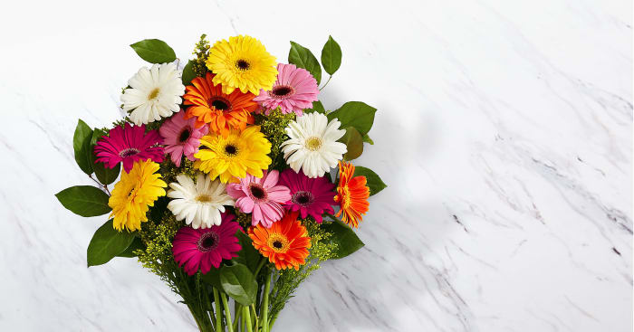 Colorful World Gerbera Daisy Bouquet