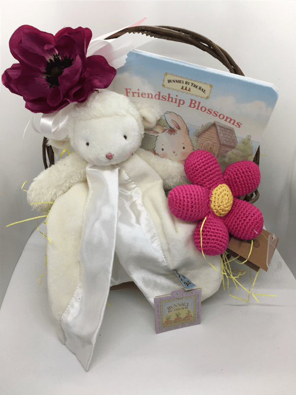 Baby Girl GIft Basket