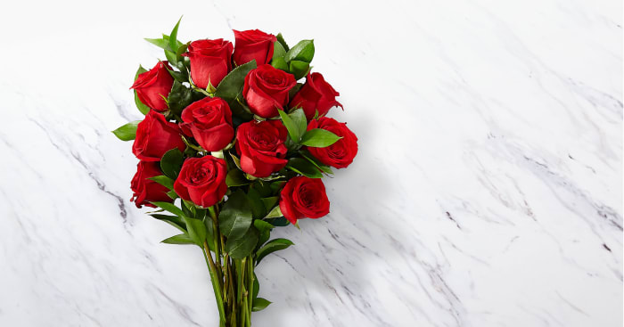 Red 1 Dozen Roses