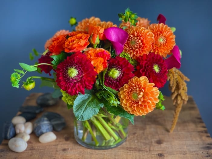 Dazzling Dahlias