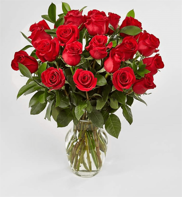 Summer Rose Special 24 red