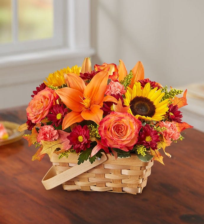 Fields Of Europe® For Fall Basket