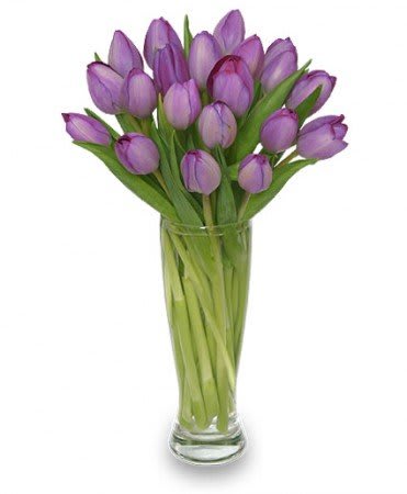 Purple Amethyst