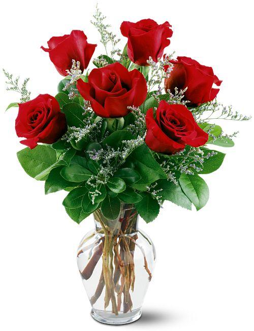 6 Medium Red Roses with Filler