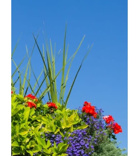 Outdoor Patio Pot