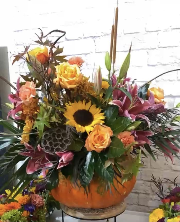 Harvest Extravaganza