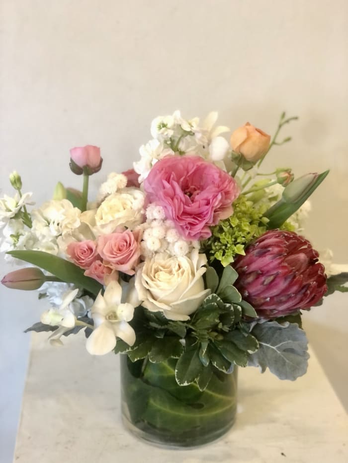 To The Moon and Back