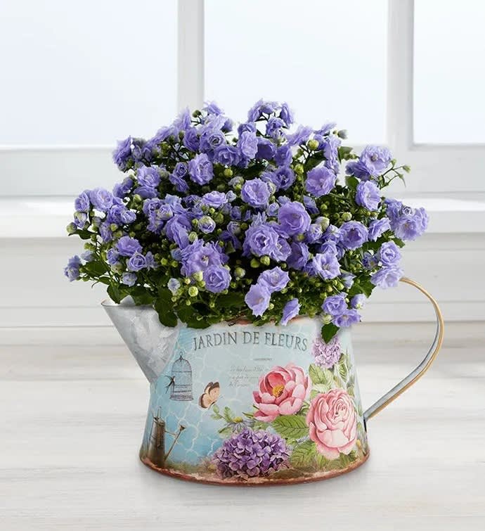 Spring Blooms Pitcher
