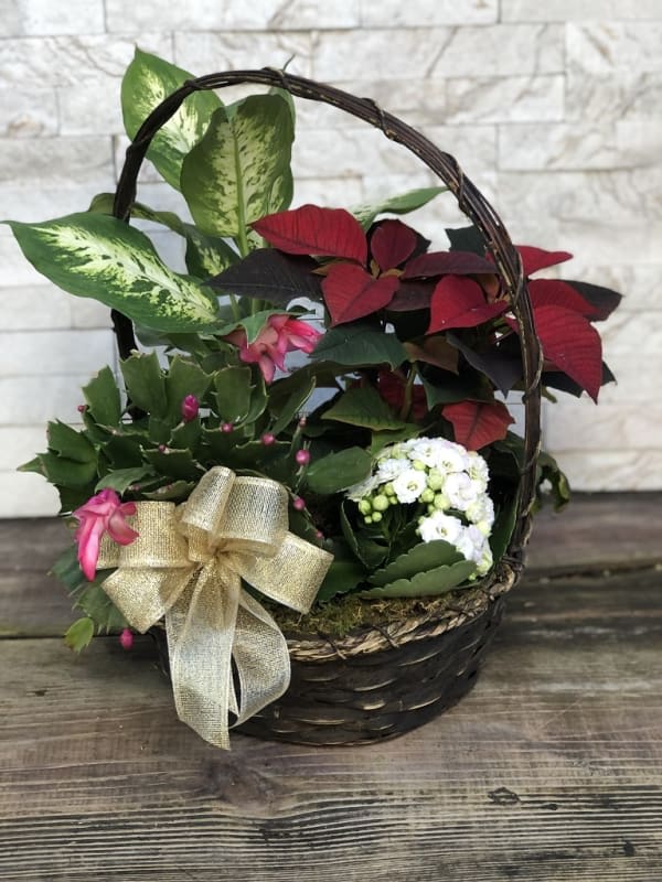 Holiday Garden Basket