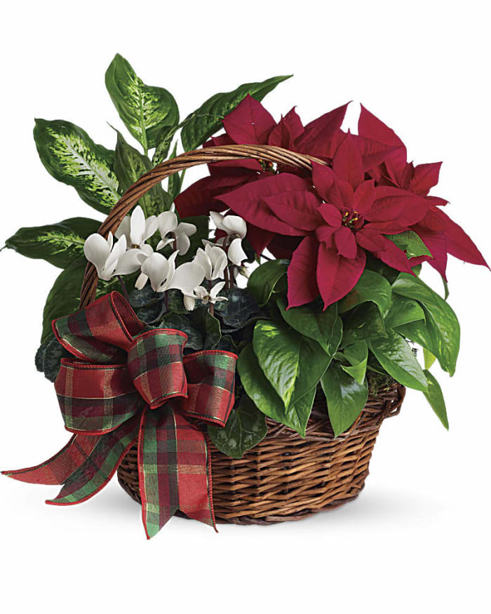 Holiday Homecoming Basket