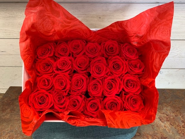 Two Dozen Forever Roses 