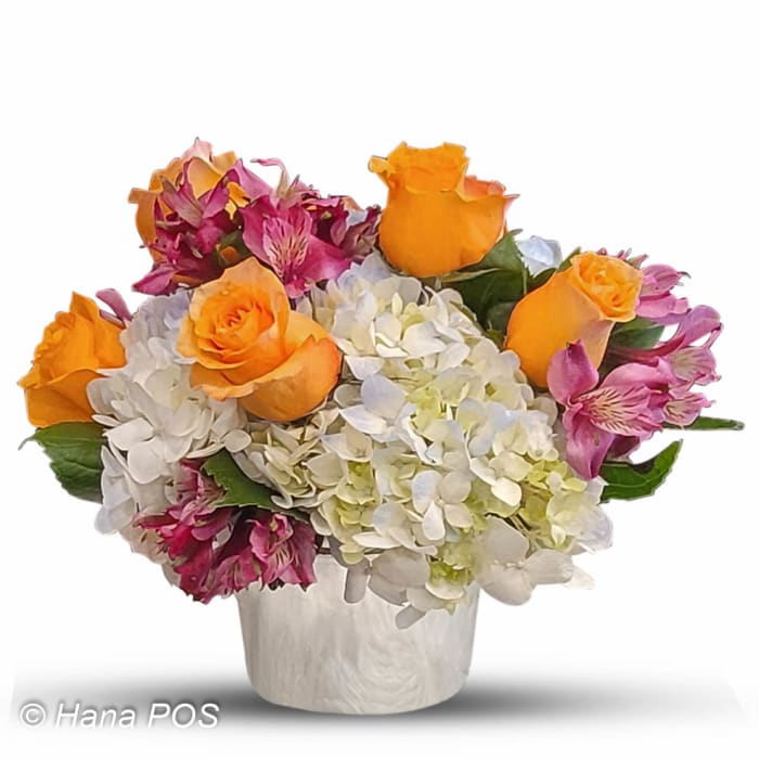 Anna Flowers