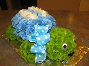 Turtle Turtle