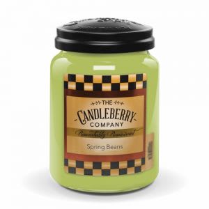 Candleberry Spring Beans Jar Candle