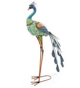 Standing Peacock