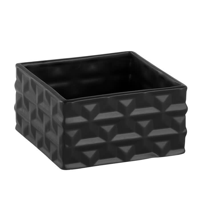 Square Black Dish Garden