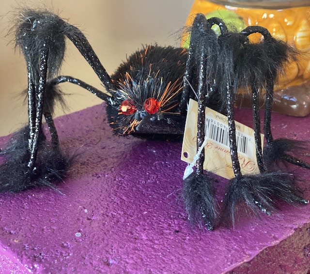 Spider