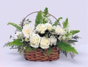 Simply White