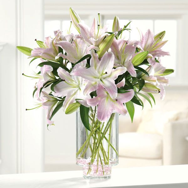 Ooh la la lilies