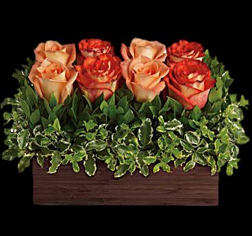 Modern Rose Wood Box