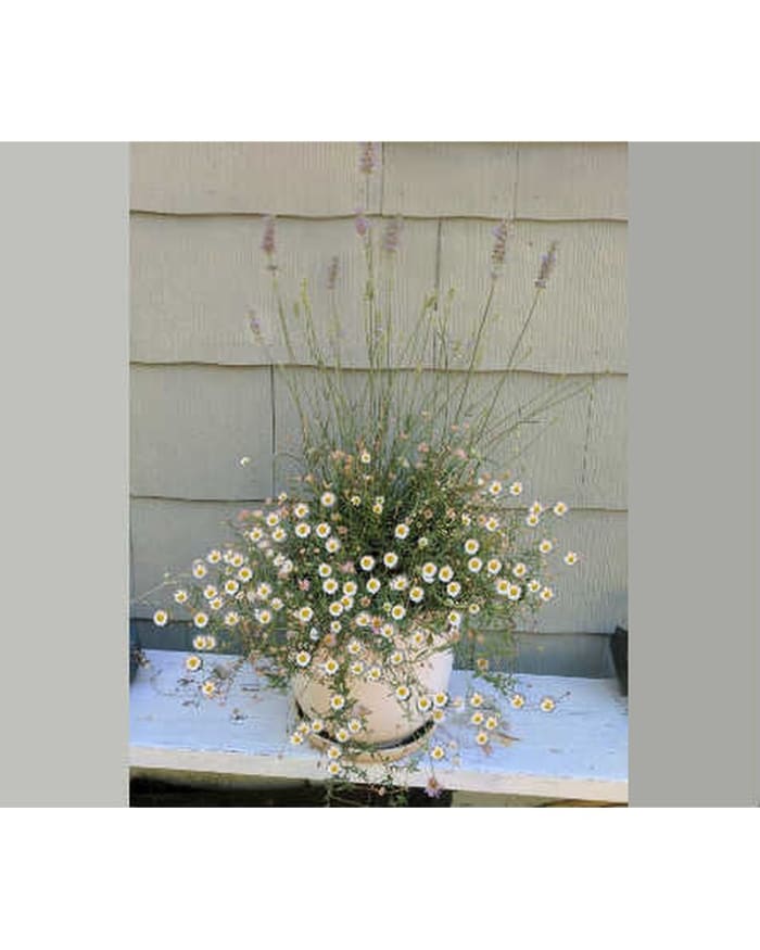 Customized Garden Planter~1